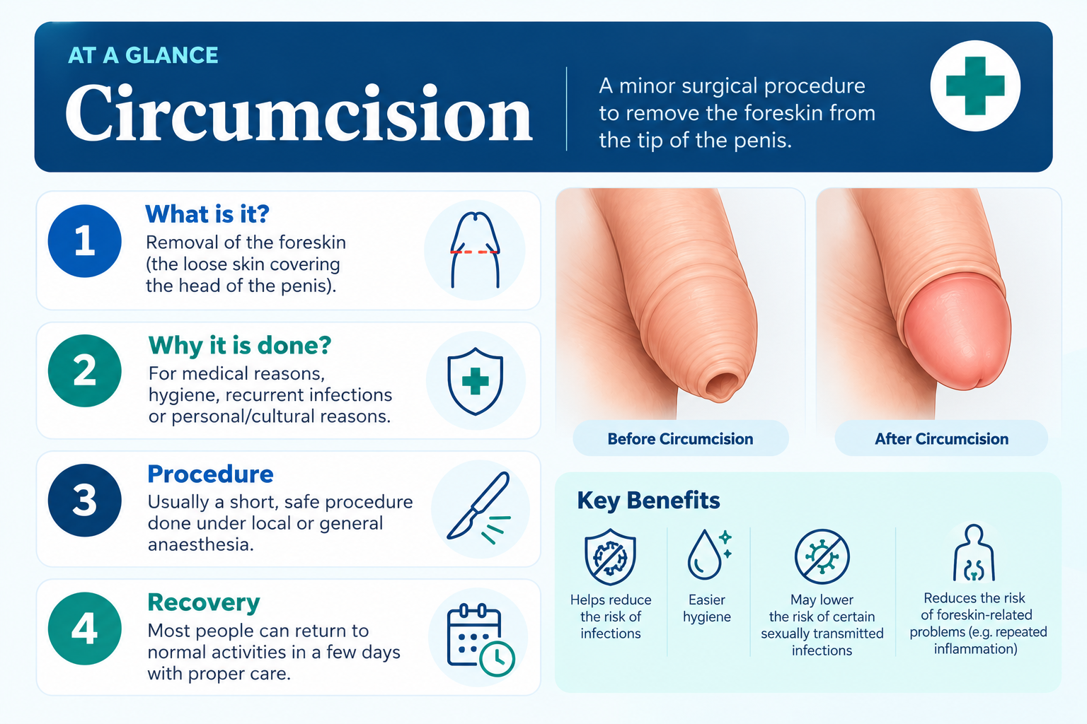 Circumcision infographic